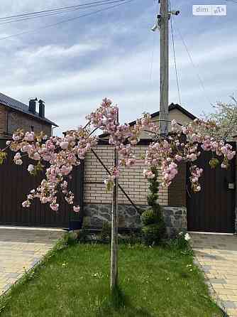 Продаж Будинок на 1-й пров.Миколи Хвильового Vinnytsya