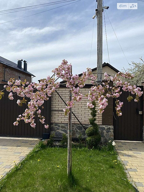 Продаж Будинок на 1-й пров.Миколи Хвильового Vinnytsya - photo 3