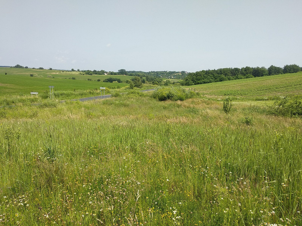 Продаж земельної ділянки 7 соток на Пшенична Vovchynets - photo 3