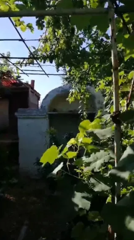 Продам дом с баней в с.Новоукраинка (Раздельнянский р-н, 55 км от Одессы) Новоукраїнка - фото 16