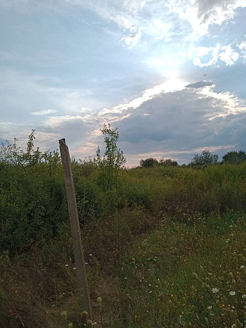 Продаж земельної ділянки 11.33 соток  - photo 2