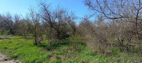 Продаж земельної ділянки Для сільськогосподарської діяльності площа 400 сот JV62+W4, Лиманський район, Одеська область, 67512 Одеса