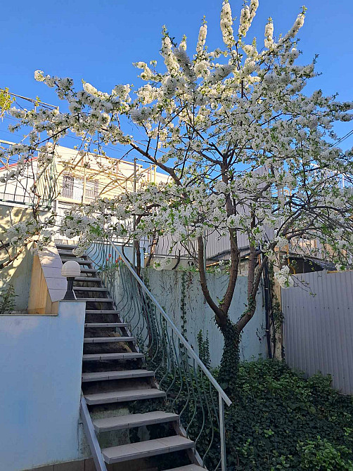 Продам дом в 50 метрах от моря, р-н Дача Ковалевского Одеса - фото 3