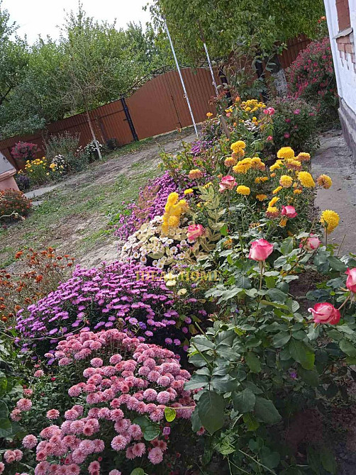 Продам будинок у Житних Горах  - фото 13