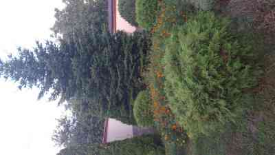 Продаж земельної ділянки 6.5 соток на ул. Новороссийская, 13/6 Лиманка