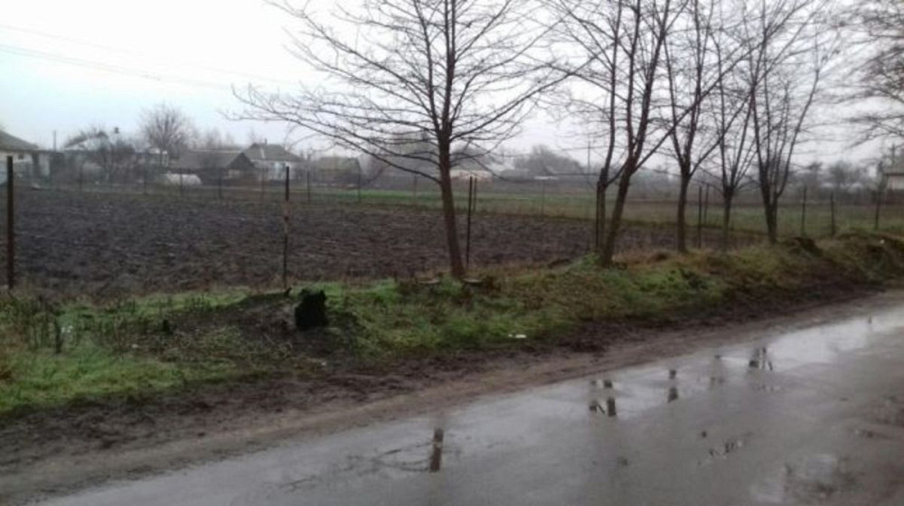 Продаж земельної ділянки 12 соток  - фото 2