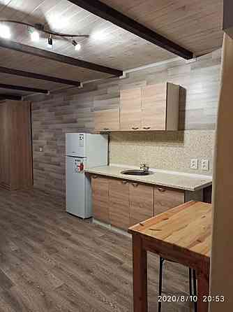 Оренда Квартира 1-кімнатна, 2/2 поверх на переулок Квитки-Основьяненко, 7 Kiev