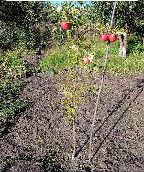 Продам будинок с. Любимівка Любимівка (Вишгородський район) - фото 16