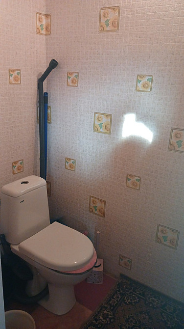 Продам  очень хороший дом в Алтестово р-н  ОСК "Чайка" Алтестове - фото 12