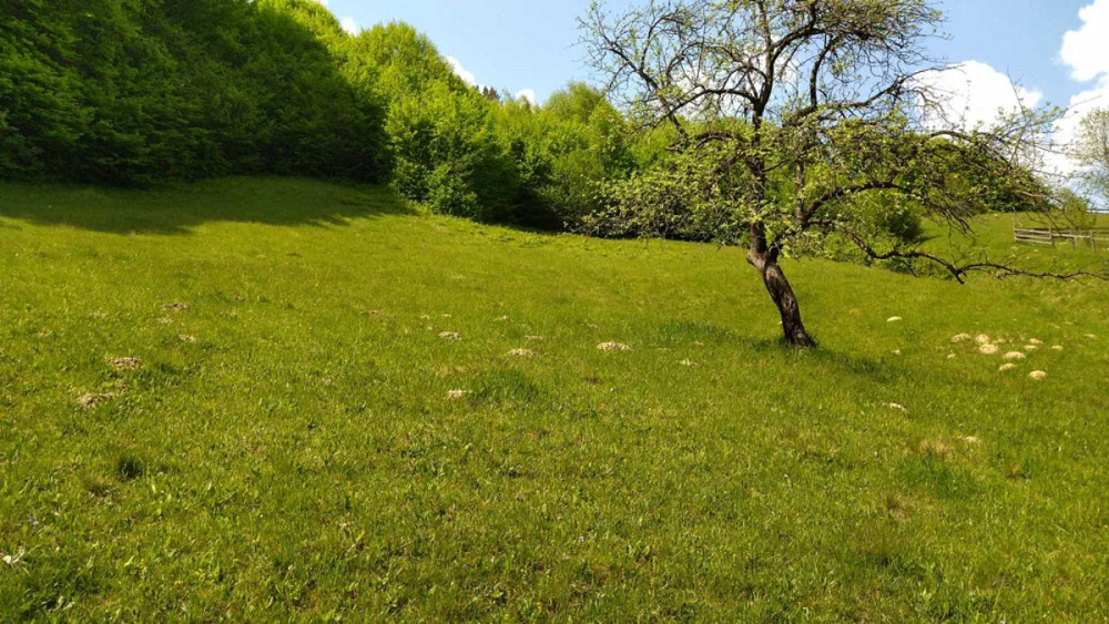 Продаж Будинок Болехів - фото 15