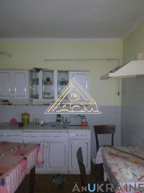 Продам дом в  с.Усатово Нерубайське - фото 2