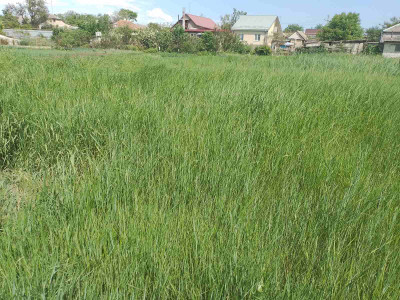 Продаж земельної ділянки 0.1 соток на ул. Павлова, 27б Нерубайське - фото 5