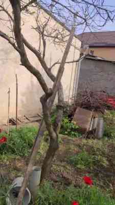 Продаж земельної ділянки 0.1 соток на СК Степное ( ул. 29-я улица), 1685 Красносилка