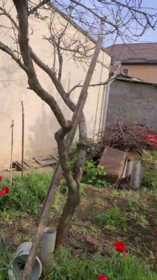 Продаж земельної ділянки 0.1 соток на СК Степное ( ул. 29-я улица), 1685 Красносилка - изображение 6