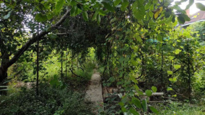 Продаж земельної ділянки 8 соток на ул. Алмазная, 4 Одесса - изображение 5