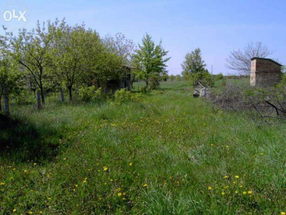 Продаж земельної ділянки 24 соток Іванків - фото 3