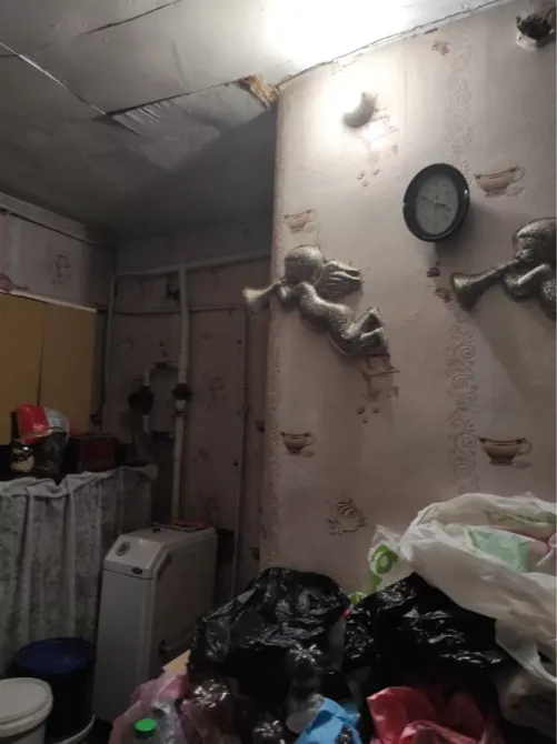 Продаж Будинок на Визволення пров. Днепр - изображение 2