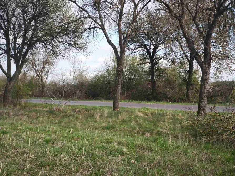 Продаж земельної ділянки Для будівництва приватного житлового будинку площа 7 сот Вільхова Ужгород - фото 6