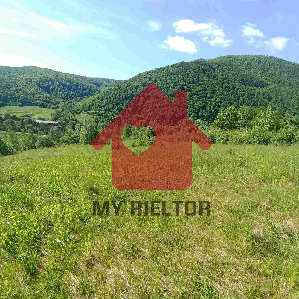 Продаж земельної ділянки 45 соток  - photo 1