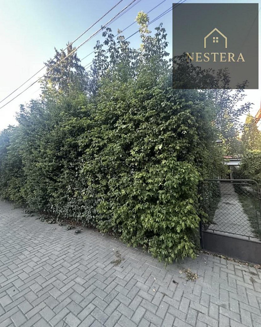 Продаж Будинок 2-кімнатний на Собранецька вул., 66 Ужгород - фото 11