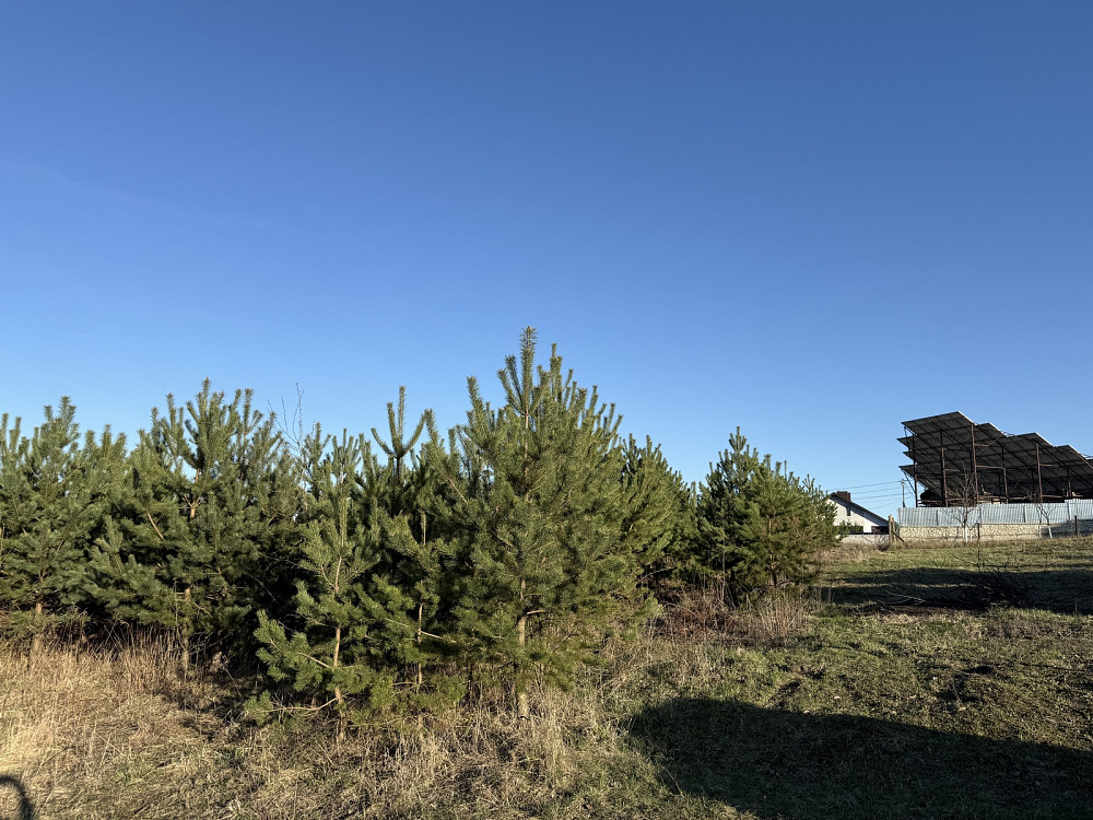 Продаж земельної ділянки 9 соток на вул. Тиха Байківці - фото 8