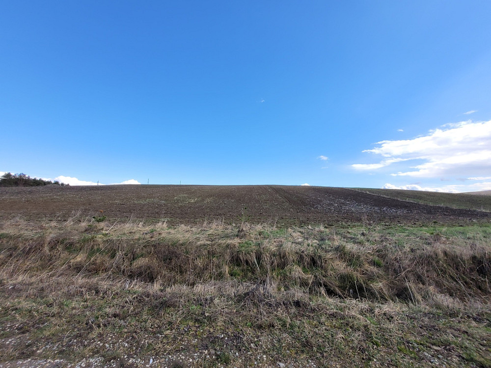 Продаж земельної ділянки 3.76 га Kolodiivka - photo 4