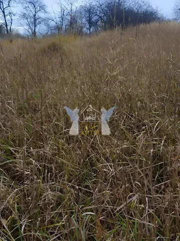 Продажа земельного участка  площадь 43 сот Лісова вулиця 1  - изображение 1