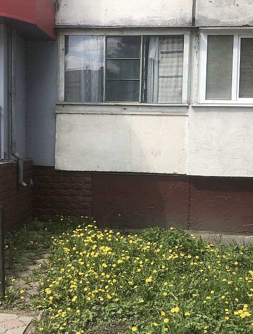 Продаж 3к Квартира 69 кв.м Вітрука Житомир - изображение 3