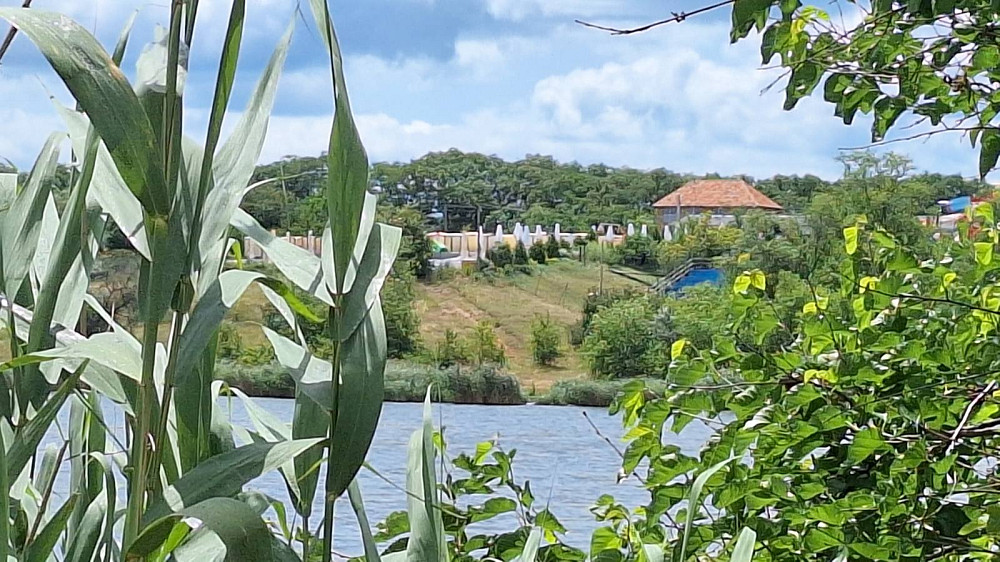 Продам дачу вблизи озера Малая Долина кооп "Заря" Молодіжне - фото 12