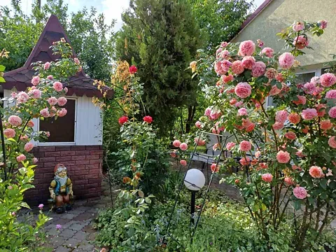 Продаж 3-поверховий   135 кв.м 3 кімн. на Молодіжна вулиця 10  - фото 5