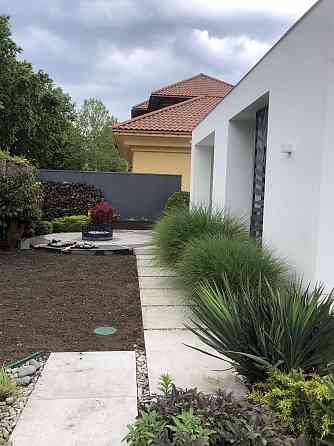 Сосновый берег Фонтанка