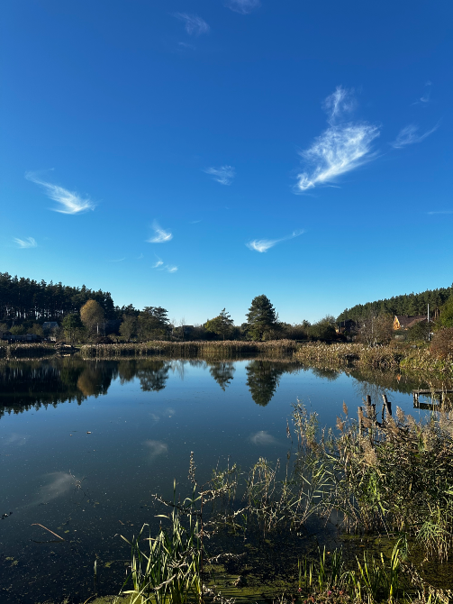 Ранчо, Подобова оренда будинку під Київом, чан джакузі, ліс та озера Київ - фото 19
