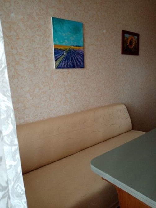 Оренда Квартира 1-кімнатна, 8/25 поверх на Олени Пчілки, 2б Київ - фото 5