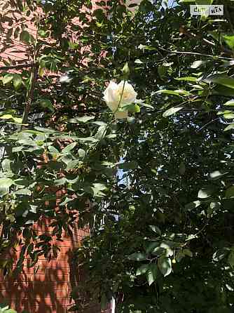 Продаж Будинок Vinnytsya