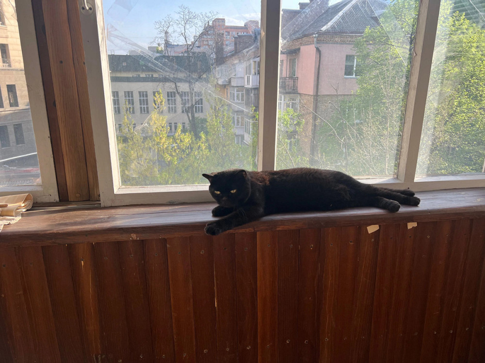 Оренда Квартира 2-кімнатна, 5/9 поверх на Кловський узвіз, 24 Kiev - photo 4