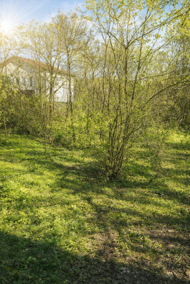 Продаж земельної ділянки 9.83 соток на переулок Клубничный, 17 Одеса - фото 16