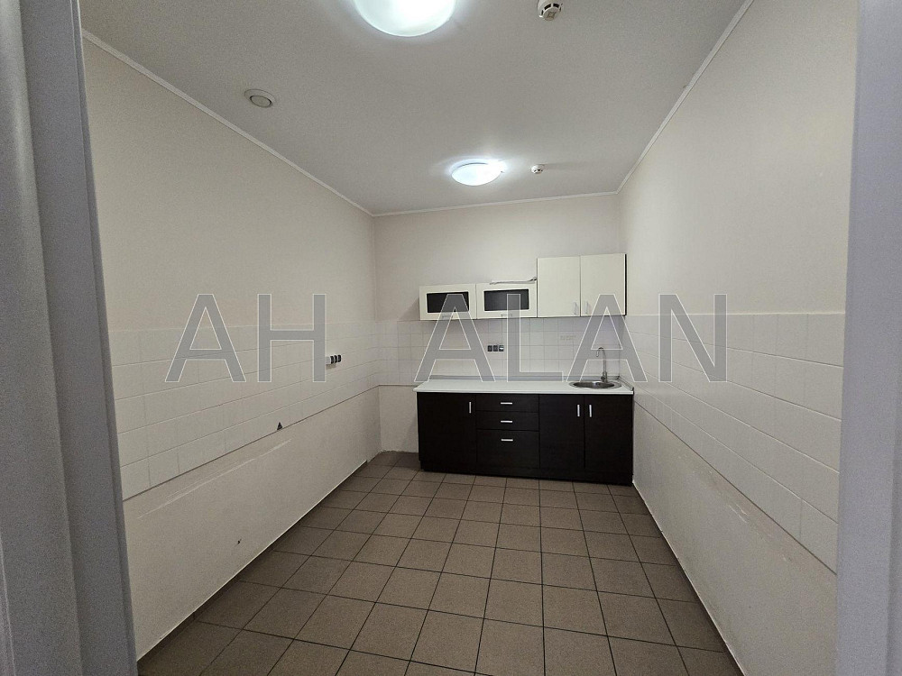 Оренда Будинок 5-кімнатний на Січових Стрільців вул., 52А Киев - изображение 8