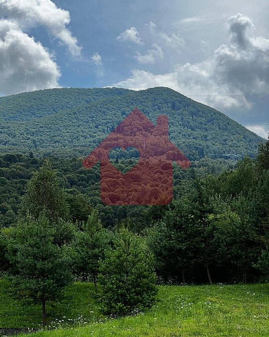 Продаж земельної ділянки 80 соток  - photo 3