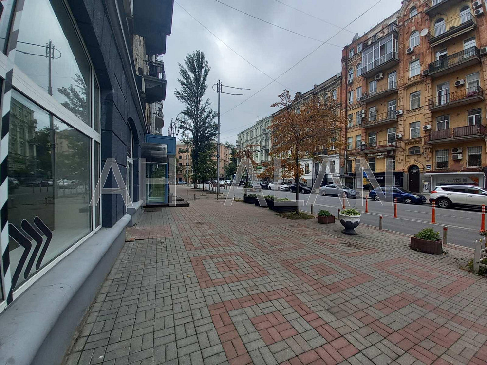 Оренда Будинок 4-кімнатний на Руставелі Шота вул., 21 Київ - фото 20