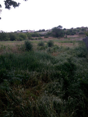 Продаж земельної ділянки 1.8 соток на ул. Массив 6, 2 Усатове - фото 1