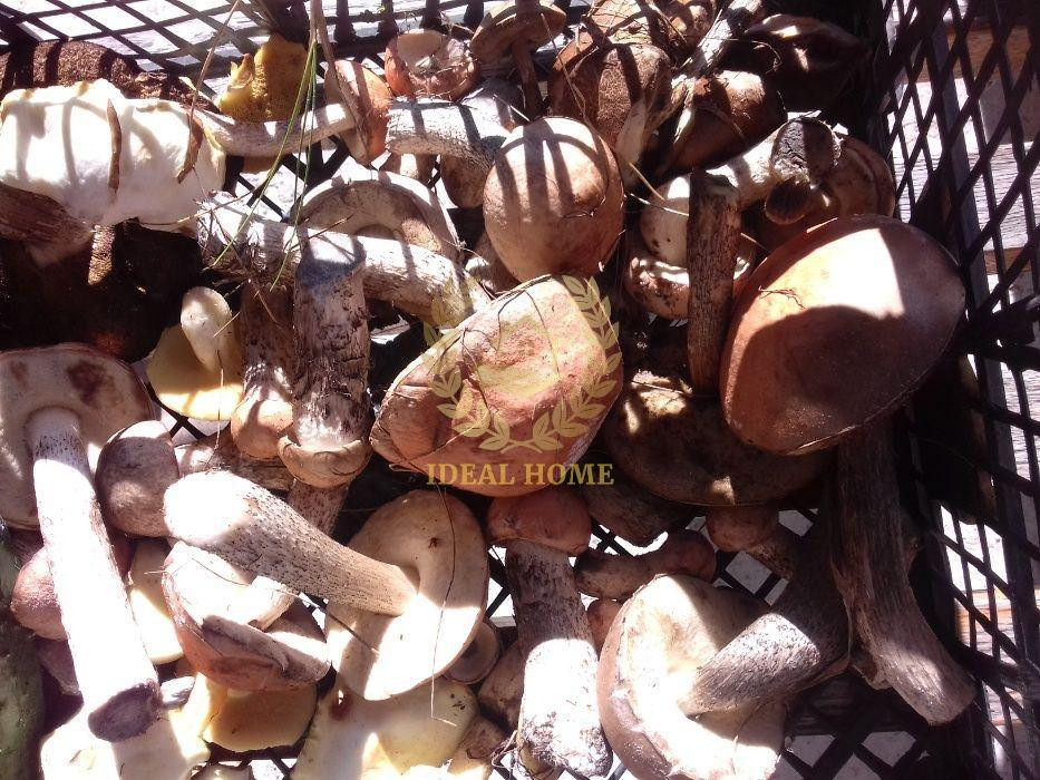 продам будинок  - фото 3