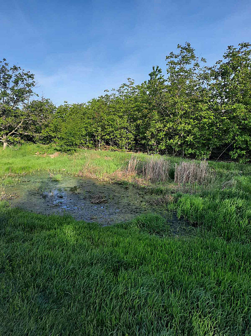 Продаж комерційне приміщення на ул. Генерала Бочарова, 44/6 приміщень - 1, поверх - 1 Крижанівка (Комінтернівський район) - фото 8