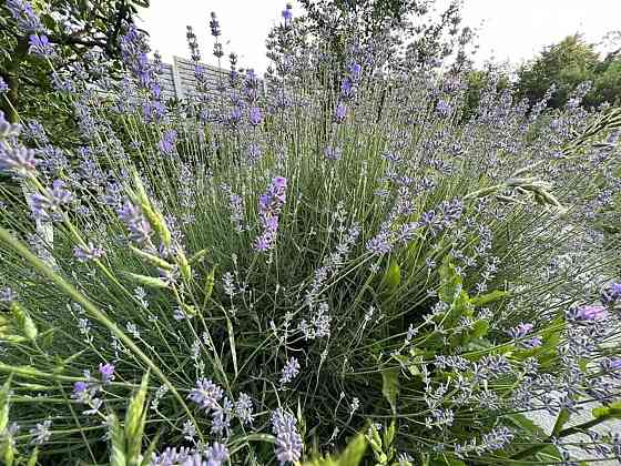 Продаж земельної ділянки 10 соток на дніпровська Винница