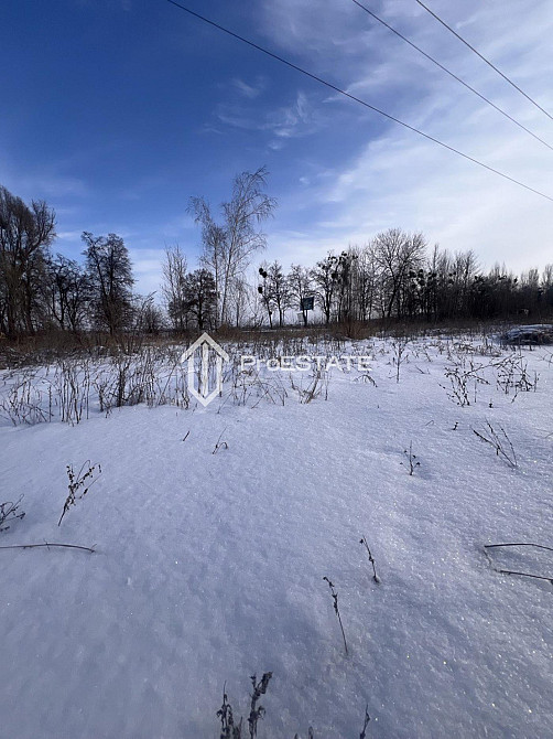 Продаж земельної ділянки 2 га Hnidyn - photo 6