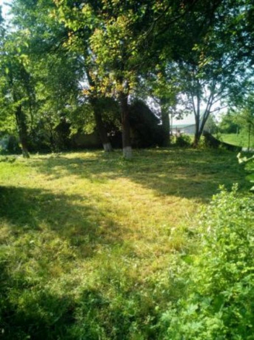 Продаж земельної ділянки 25 соток  - фото 2