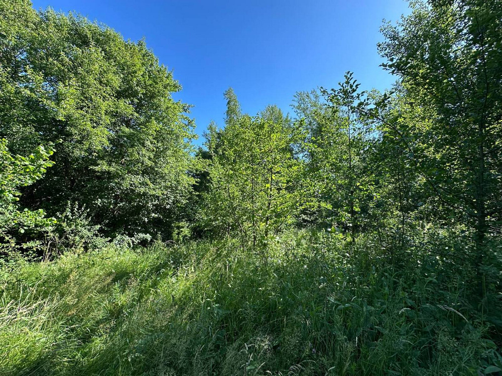 Продаж земельної ділянки 25 соток Posich - photo 4