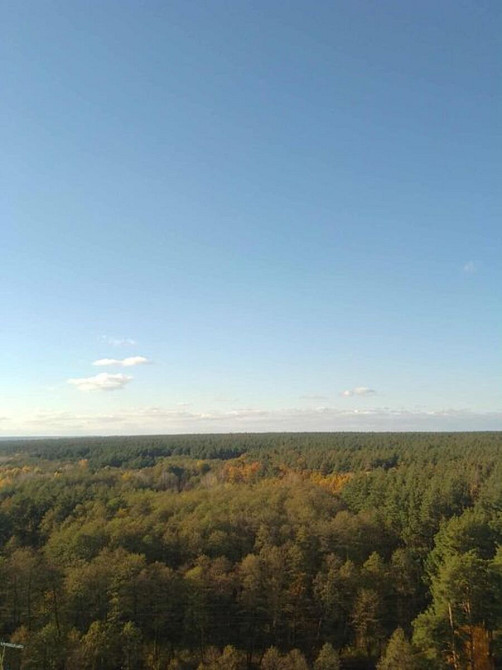 Оренда Квартира 1-кімнатна, 15/25 поверх на Володимира Наумовича, 4 Київ - фото 7