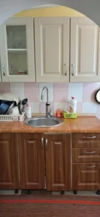 Продам дом с газом и удобствами в Светлом (Старые дачи, 5 км от Одессы) Світле