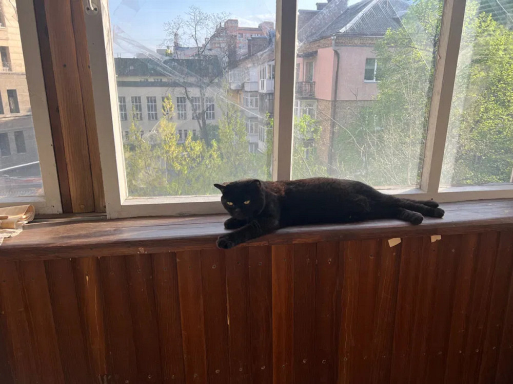 Оренда Квартира 2-кімнатна, 5/9 поверх на Кловський узвіз, 24 Kiev - photo 6