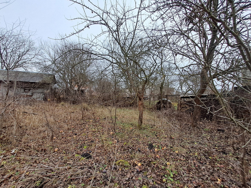 Продаж Будинок на вул. Зелена Подгородное - изображение 4